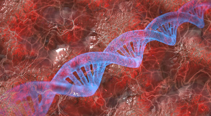 Pruebas geneticas cancer de mama y ovario hereditario: la relevancia de los genes